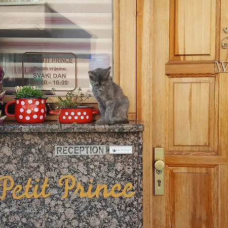 Nocleg ze śniadaniem Le Petit Free Gated Parking