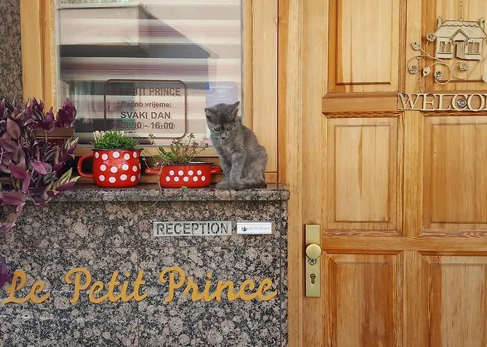 Bed & Breakfast Le Petit Free Gated Parking