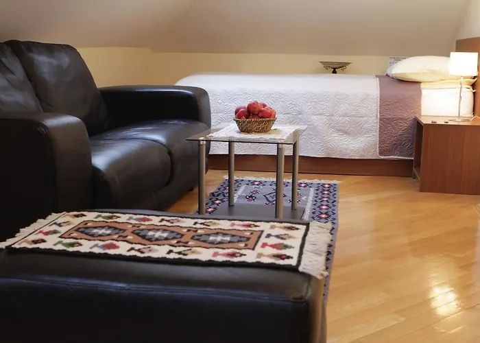 Le Petit Free Gated Parking 塞拉耶佛