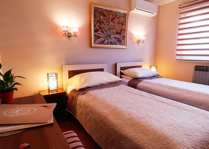 住宿加早餐酒店 Le Petit Free Gated Parking 4*